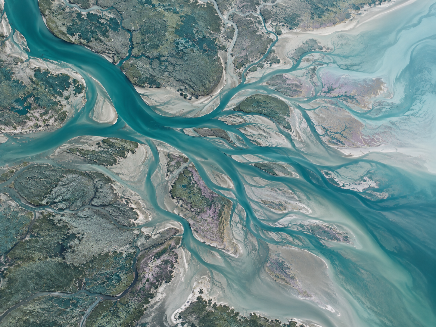 Aerial river delta showing branching flows and channels